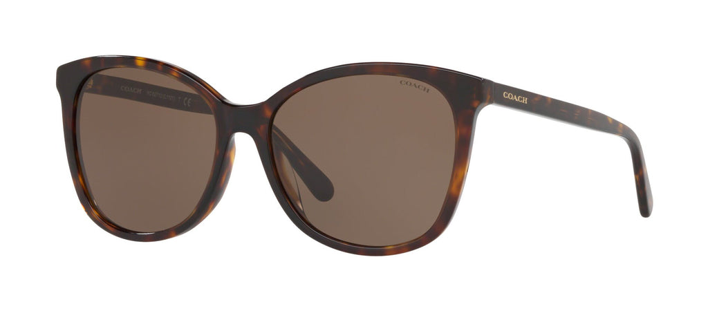 Trainer 0HC8271U 512073