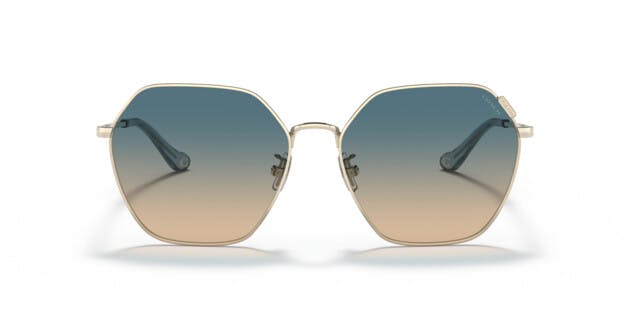 Coach 0HC7132 900579