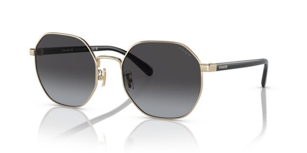 Coach 0HC7147 90058G