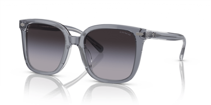 Coach 0HC8381U 57808G