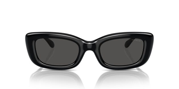 Trainer 0HC8390U 500287