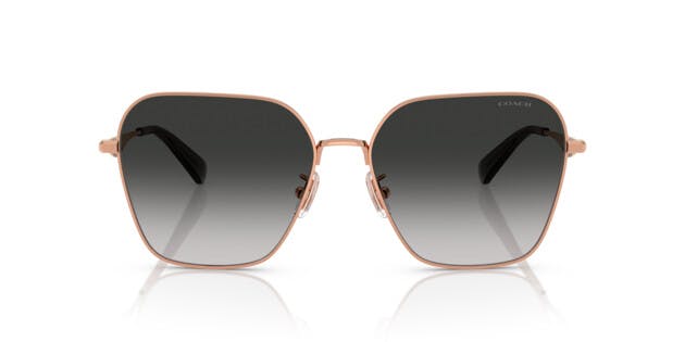 Coach 0HC7168 93313C