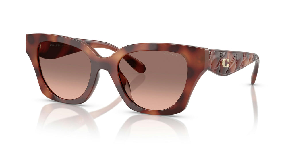 Trainer 0HC8418U 577413