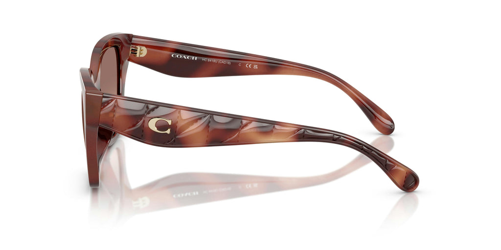 Trainer 0HC8418U 577413