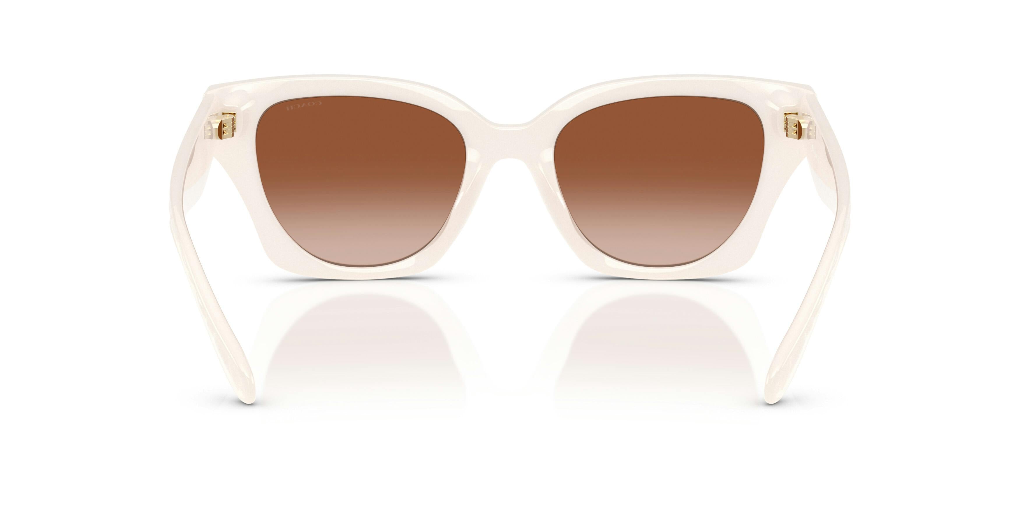 Trainer 0HC8418U 580513