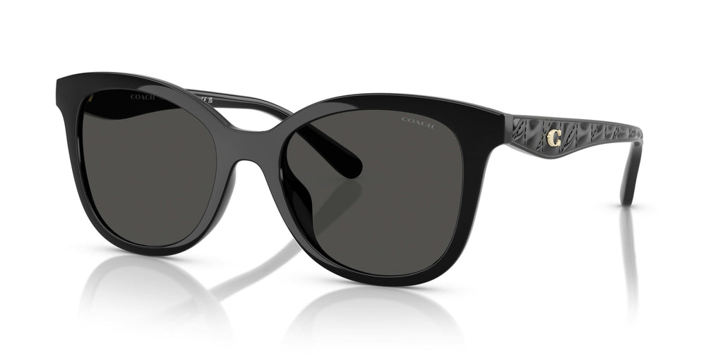 Trainer 0HC8419U 500287