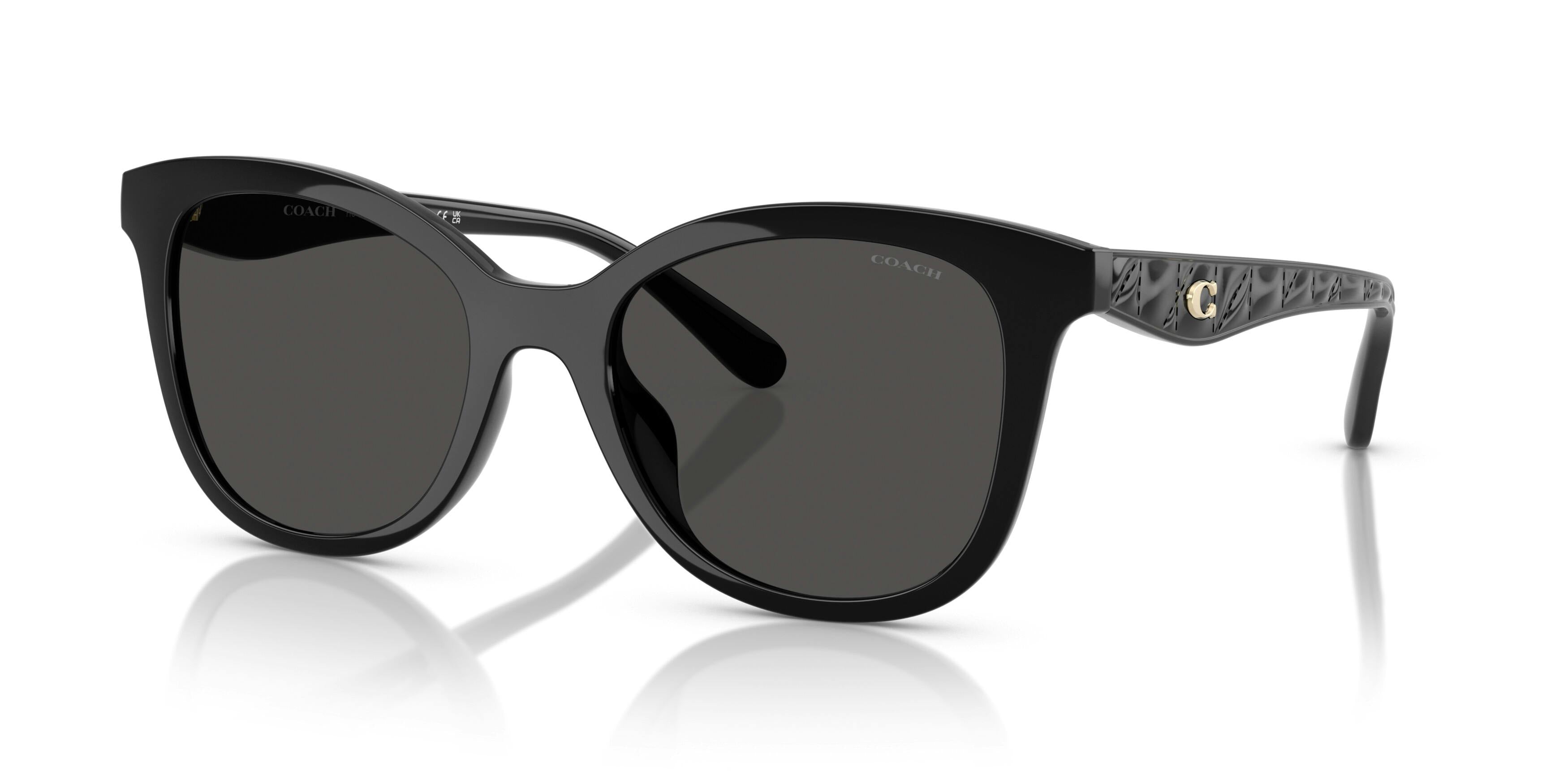 Trainer 0HC8419U 500287