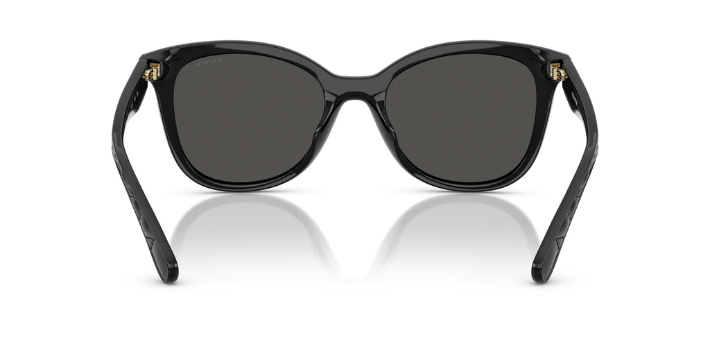 Trainer 0HC8419U 500287