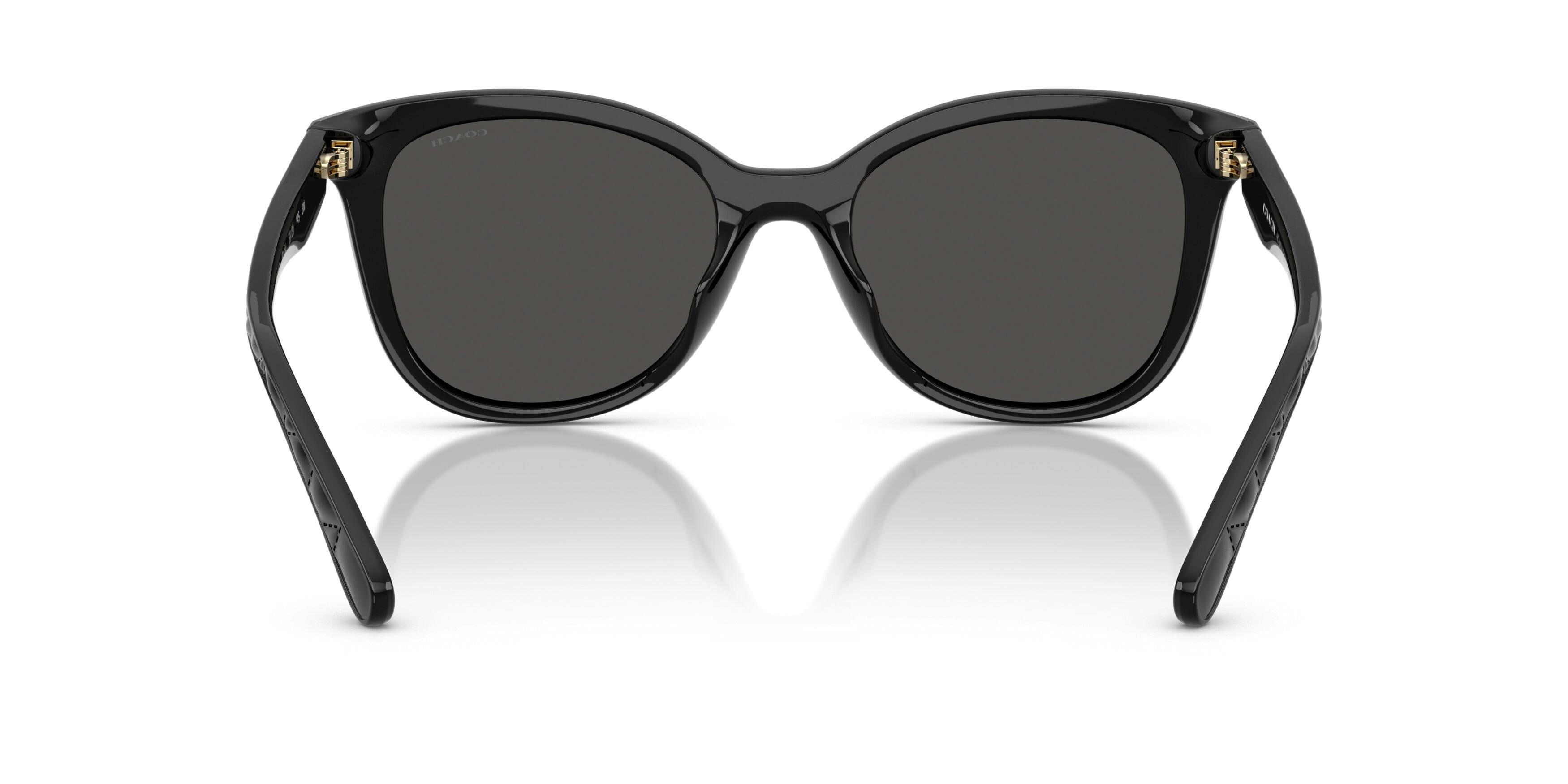 Trainer 0HC8419U 500287