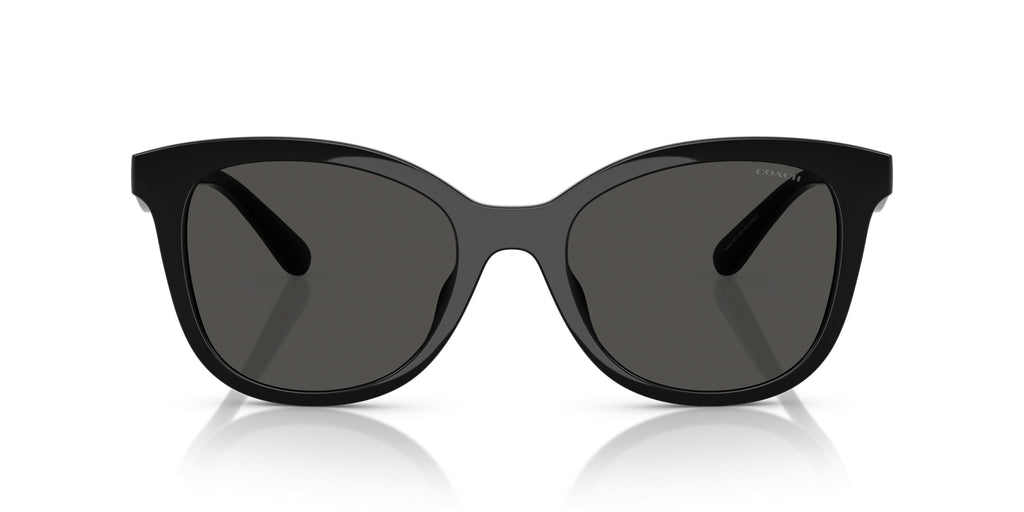 Trainer 0HC8419U 500287