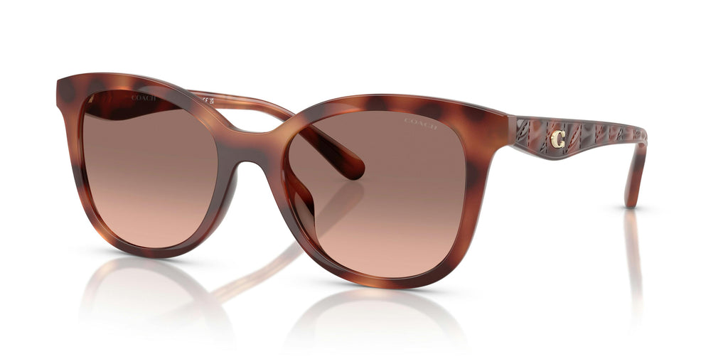 Trainer 0HC8419U 577413