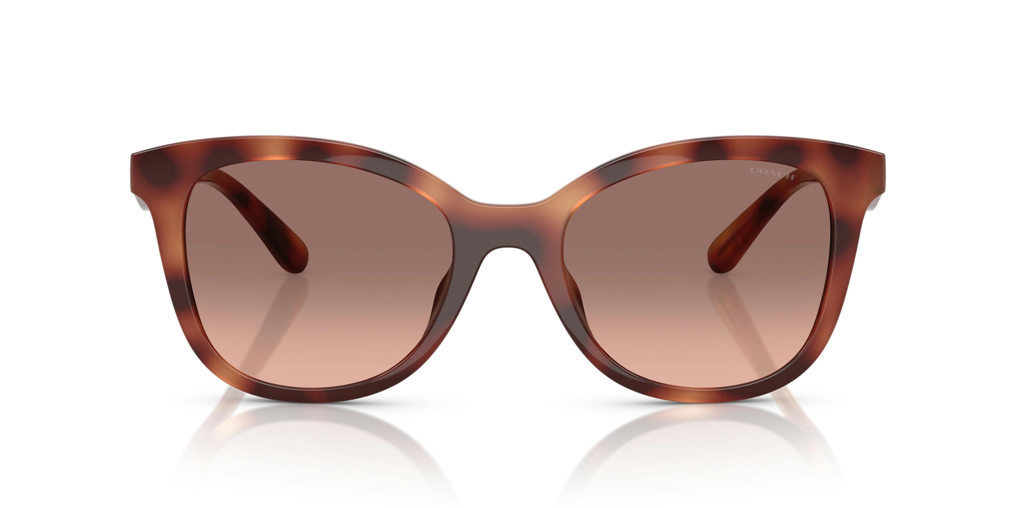 Trainer 0HC8419U 577413