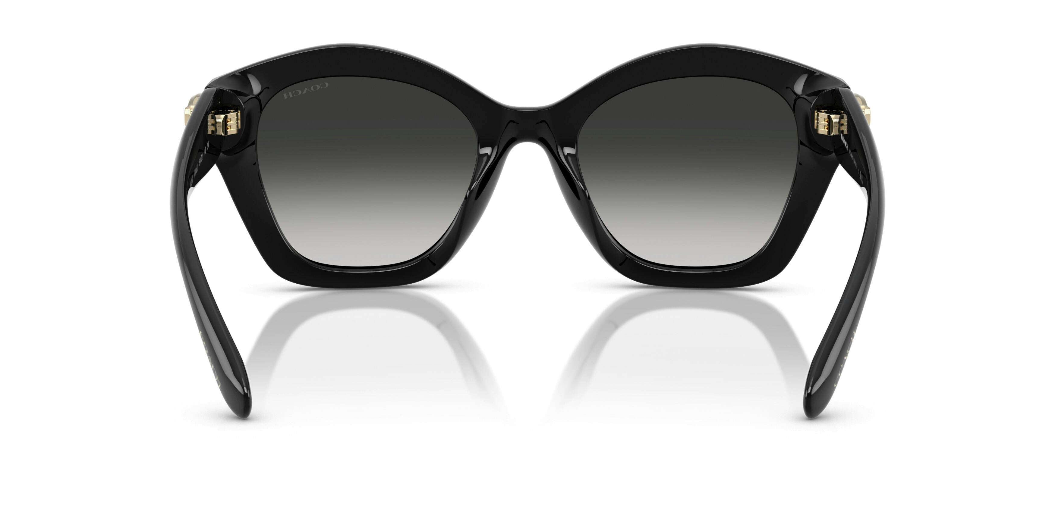 Coach 0HC8421U 50023C