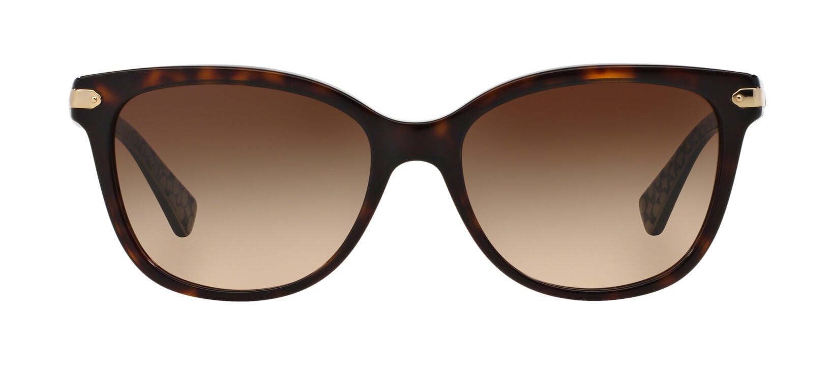 Coach 0HC8132 529113