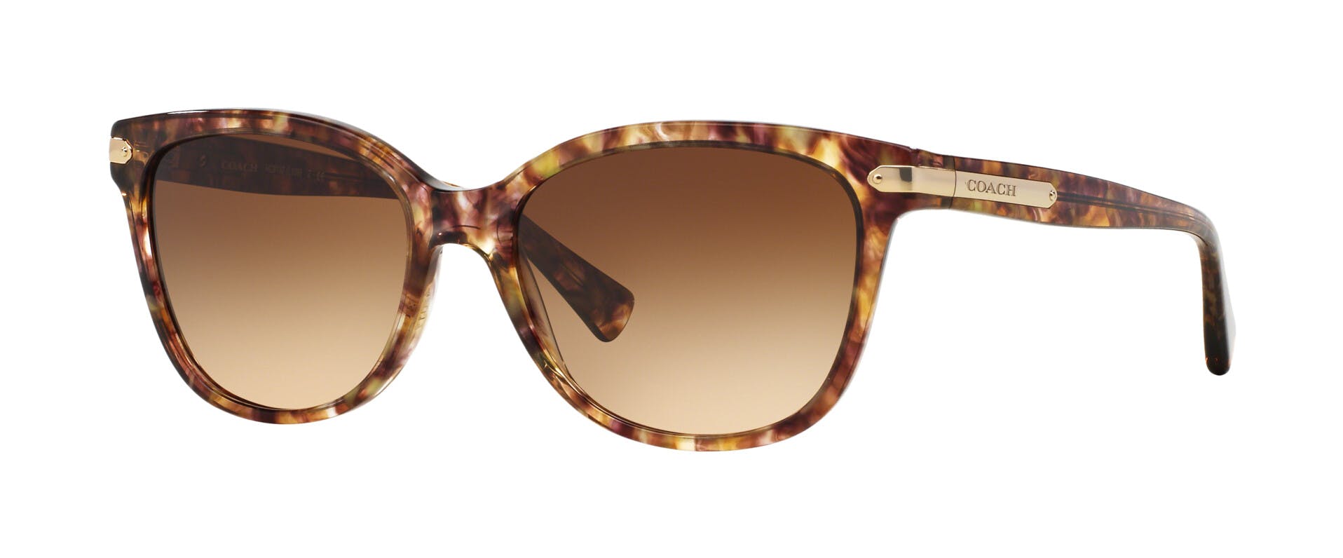 Coach 0HC8132 528713