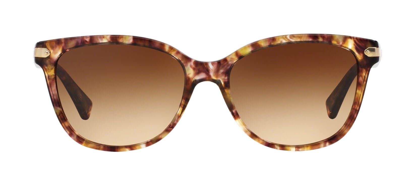 Coach 0HC8132 528713