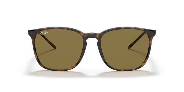 Ray-Ban 0RB4387 710/73