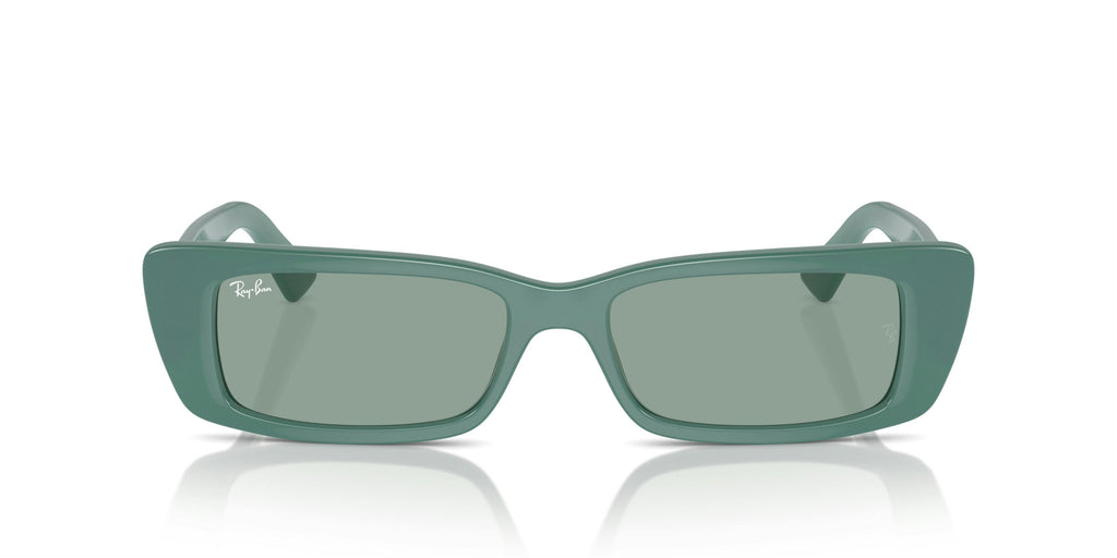 Ray-Ban 0RB4425 676282