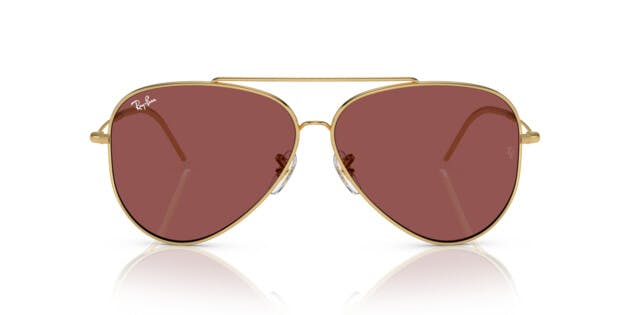 Ray-Ban 0RBR0101S 001/69