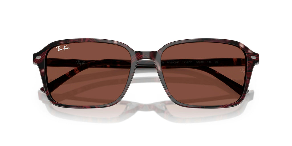 Ray-Ban 0RB2231 1416C5