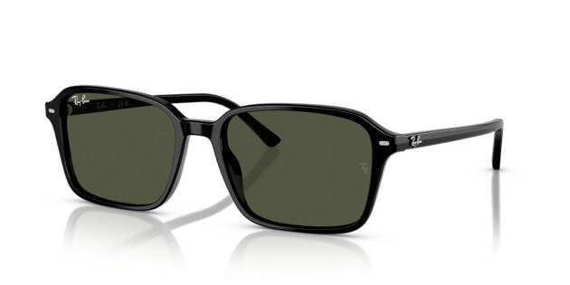 Ray-Ban 0RB2231 901/31