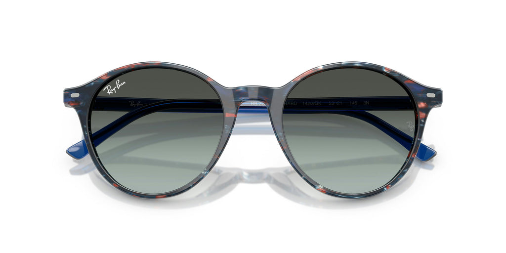 Ray-Ban 0RB2230 1420GK
