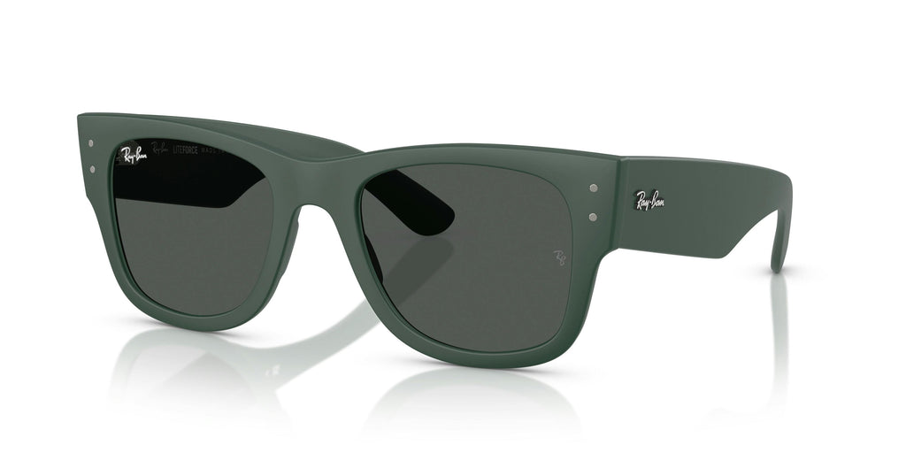 Ray-Ban 0RB4840S 665787
