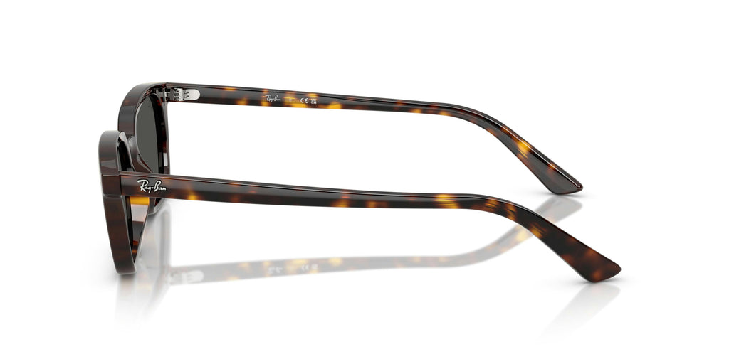 Ray-Ban 0RB4456 135987