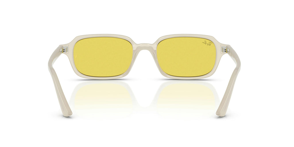 Ray-Ban 0RB4455 68086D