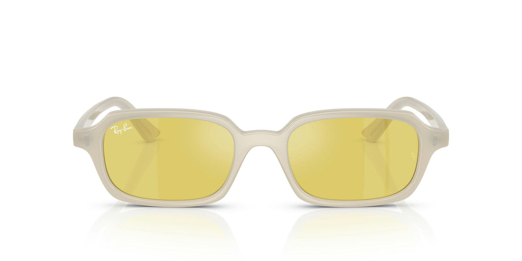 Ray-Ban 0RB4455 68086D