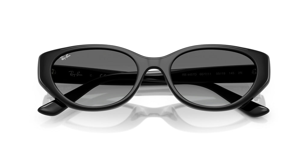 Ray-Ban 0RB4457D 667711