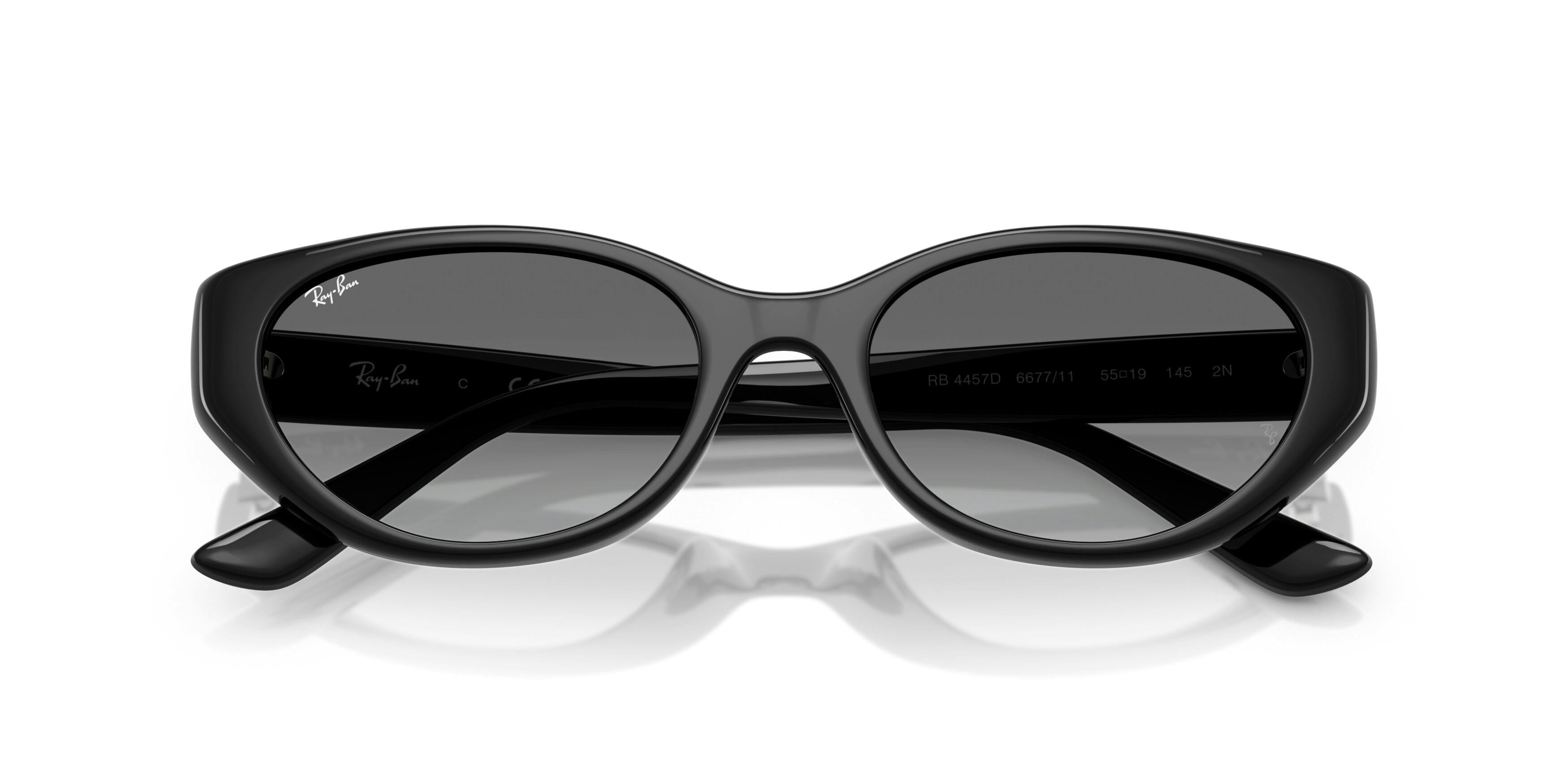 Ray-Ban 0RB4457D 667711