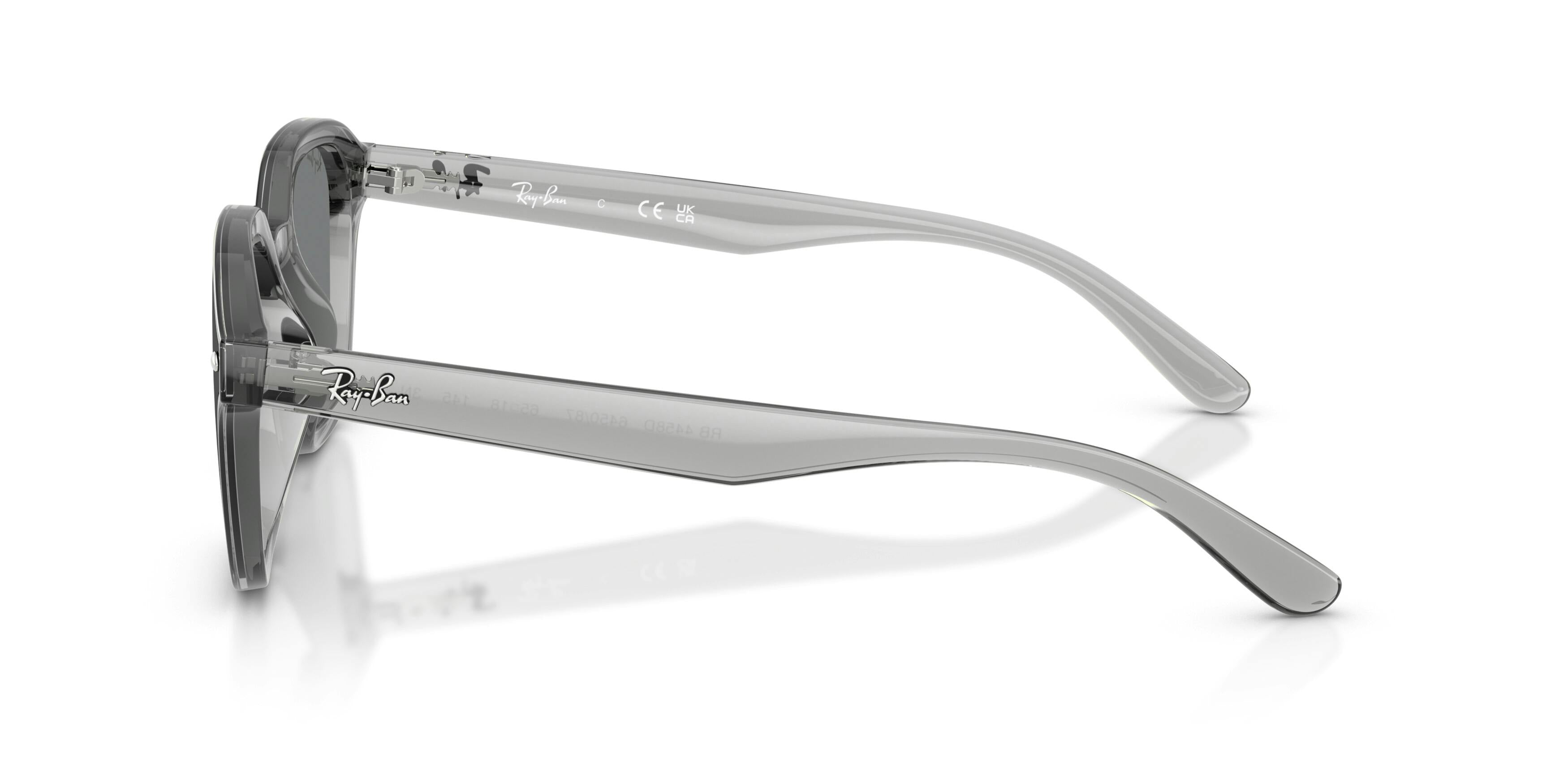 Ray-Ban 0RB4458D 645087