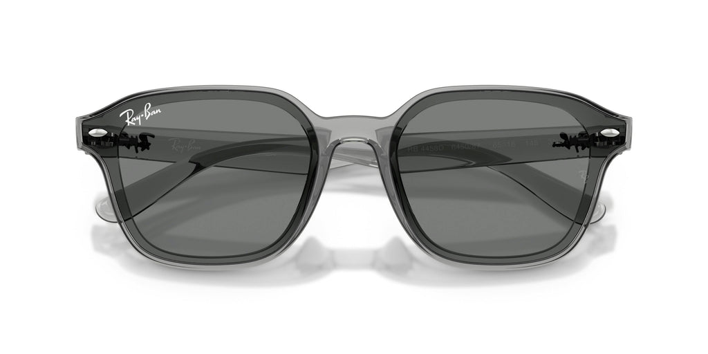 Ray-Ban 0RB4458D 645087