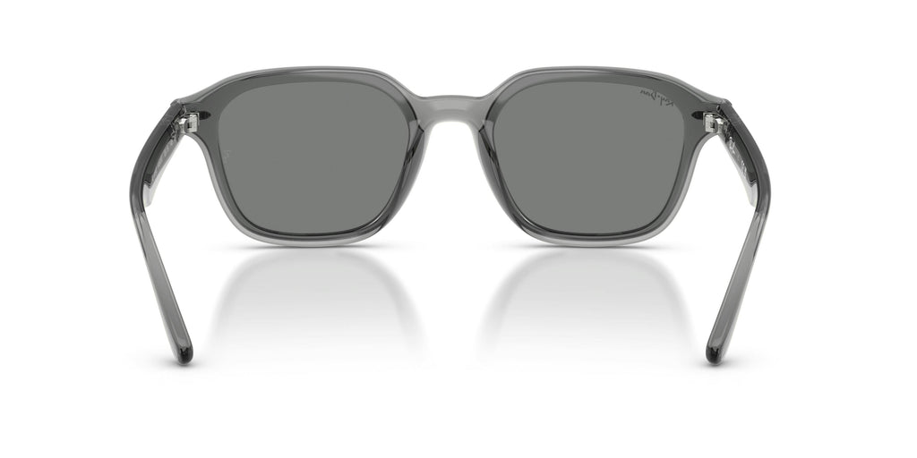 Ray-Ban 0RB4458D 645087