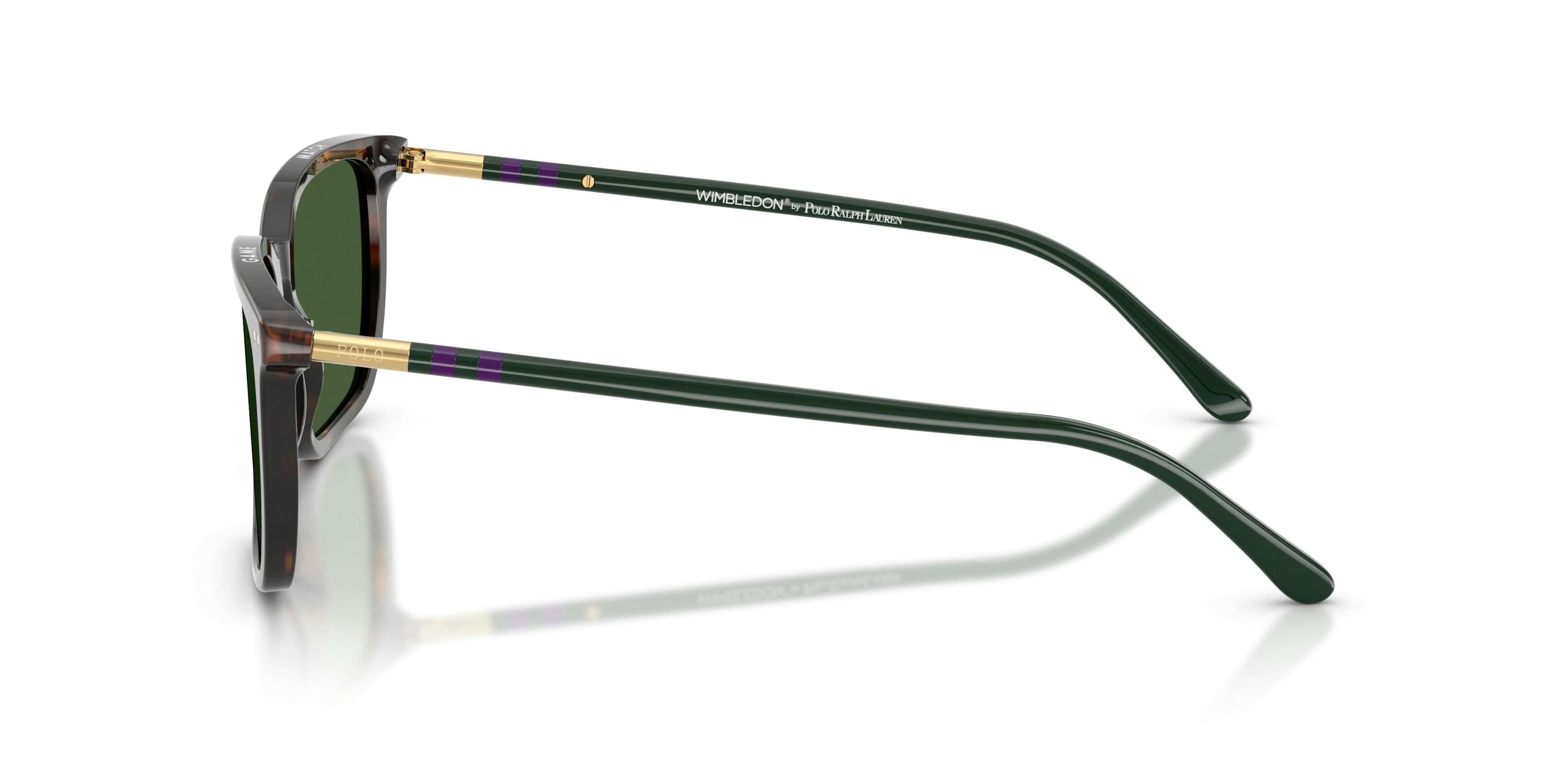 Polo Ralph Lauren 0PH4226 567371