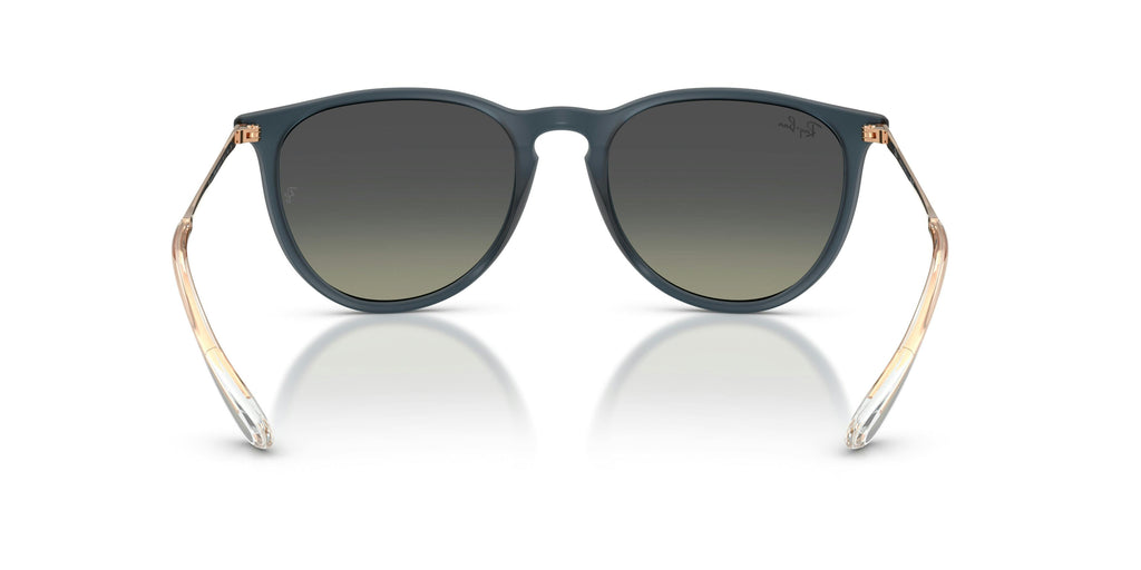 Ray-Ban 0RB4171 681311