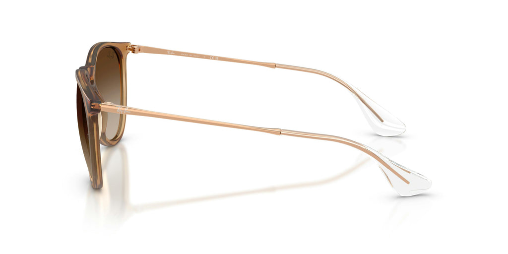 Ray-Ban 0RB4171 681413