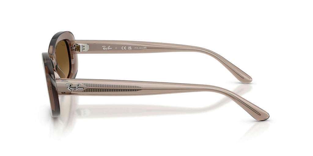 Ray-Ban 0RB2221 6827M2