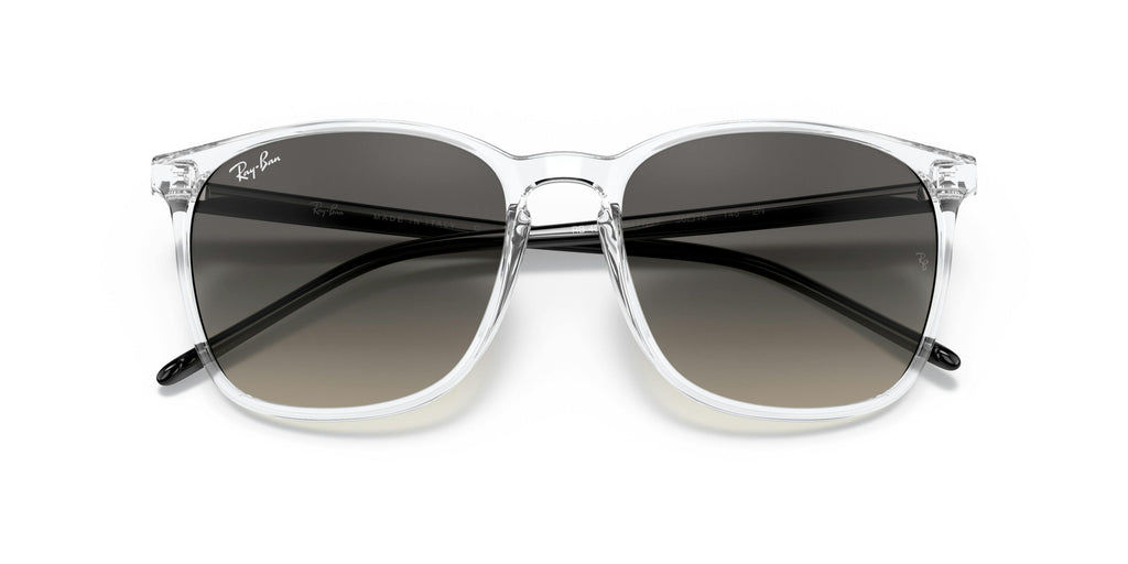 Ray-Ban 0RB4387 647711