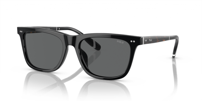 Polo Ralph Lauren 0PH4205U 500187