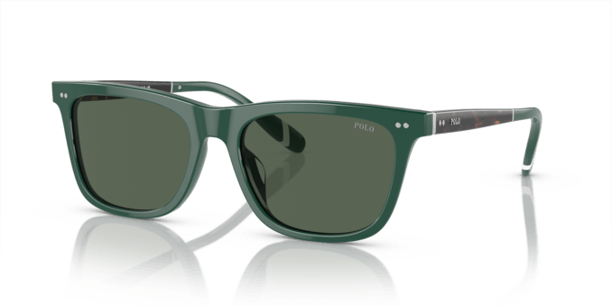 Polo Ralph Lauren 0PH4205U 614171