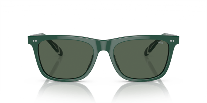 Polo Ralph Lauren 0PH4205U 614171