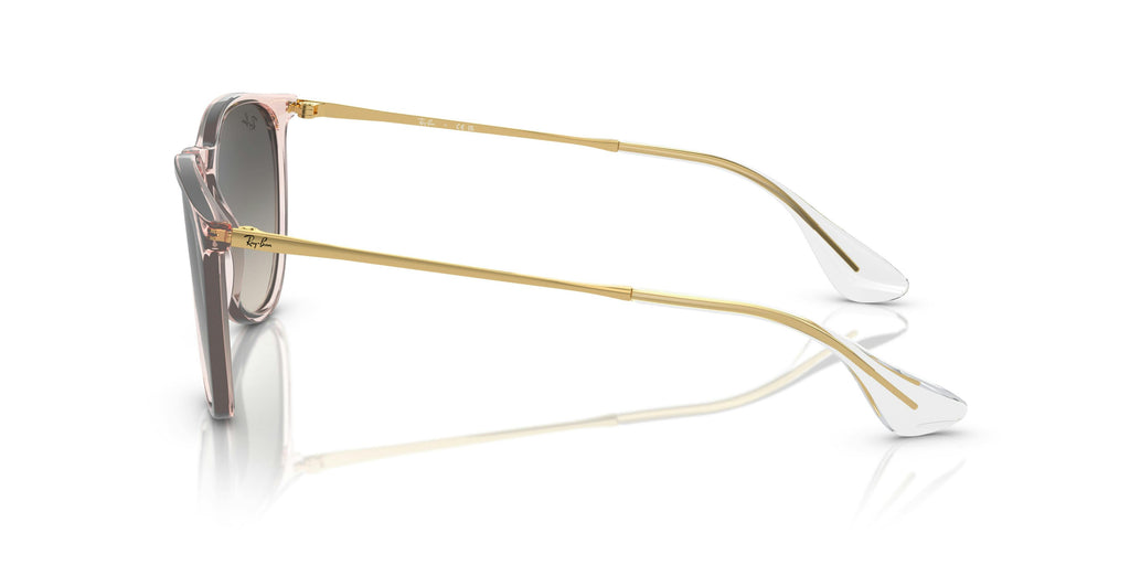 Ray-Ban 0RB4171 674211