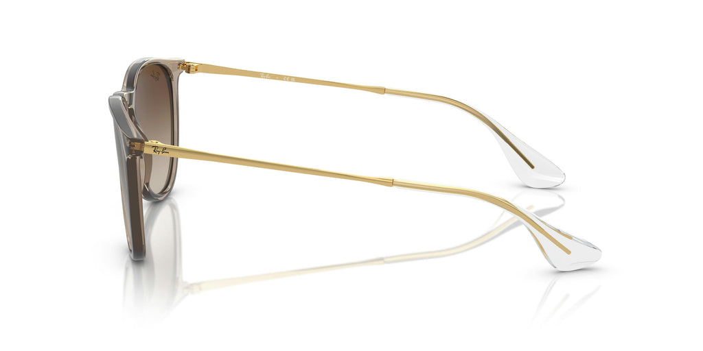 Ray-Ban 0RB4171 674413